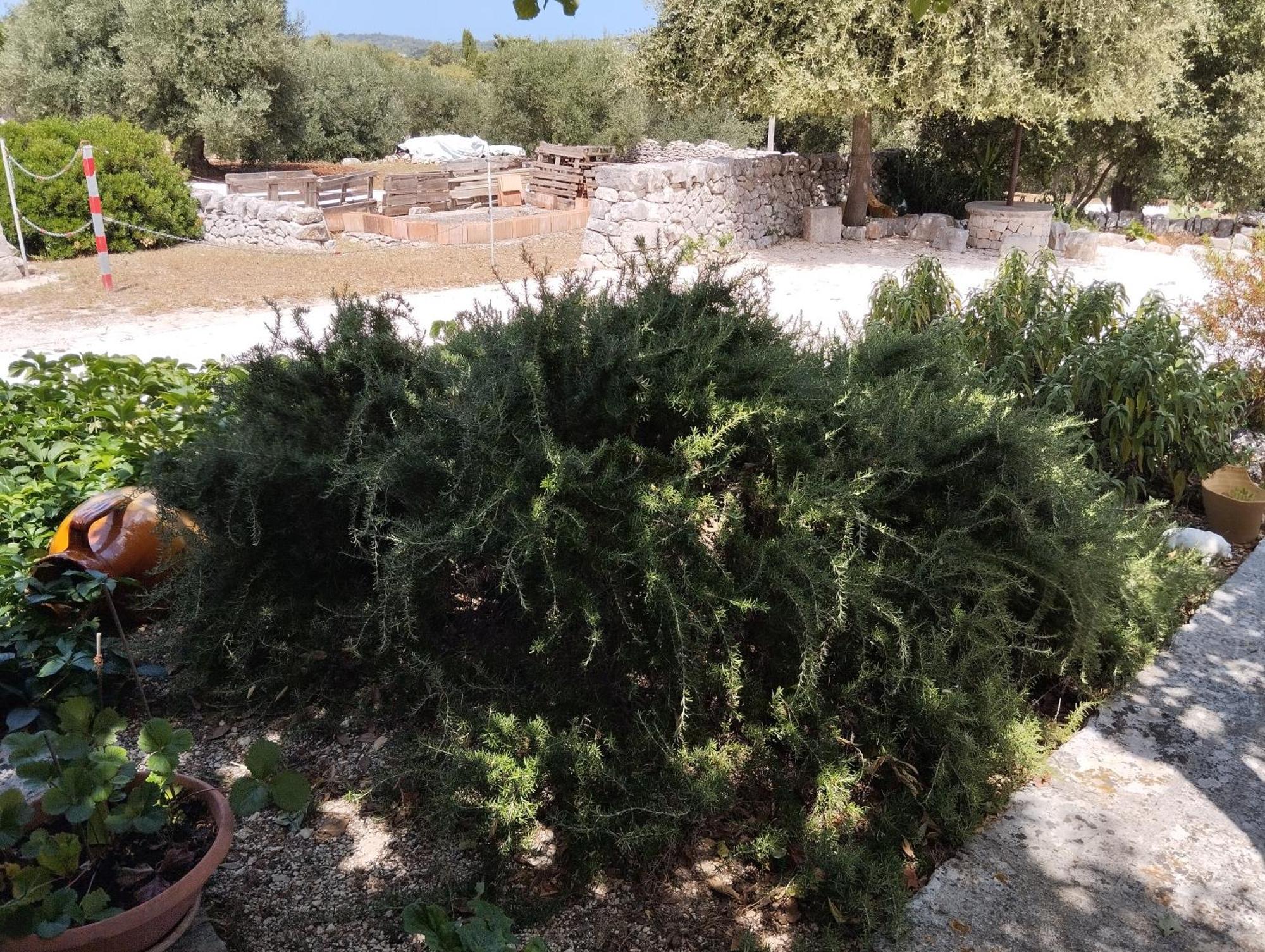 Trullo Gio Villa Cisternino Exterior photo